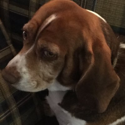 Michael66219718's profile picture. Just Old