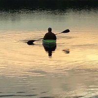 PK Dogen (@p_dogen) 's Twitter Profile