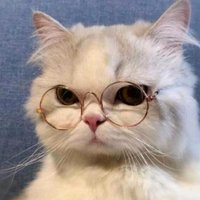 kit ◡̎ (@jaeyuniversed) 's Twitter Profile