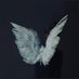 hanaa9950 (@noor223312) Twitter profile photo hanaa9950 (@noor223312) Twitter profile photo