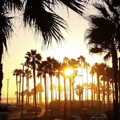 jolette_w's profile picture. 