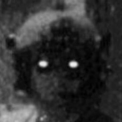 KX3NO's profile picture. 