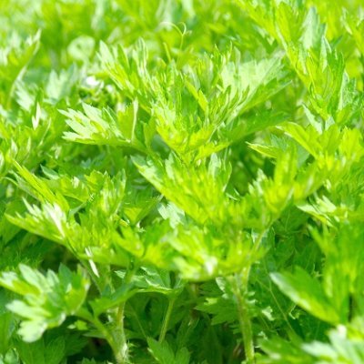 Yomogi_sk's profile picture. 現役中学生です
DMなどは構いません。
気軽に話せるといいです。
フォロバ必ずします。