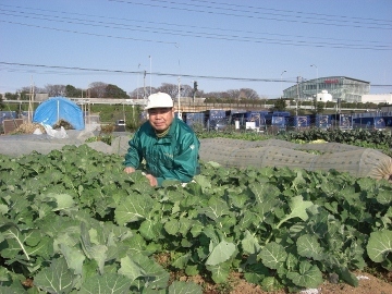 shin19362000's profile picture. 国立に住んで48年、市民農園を立ち上げて20年、約200名の市民の皆さんが野菜づくりに励んでいます。都市に緑を、国立市に農業を残したいと入園者の皆さんと活動しています。大分市出身、温泉大好き、旅行大好き、農業大好き。