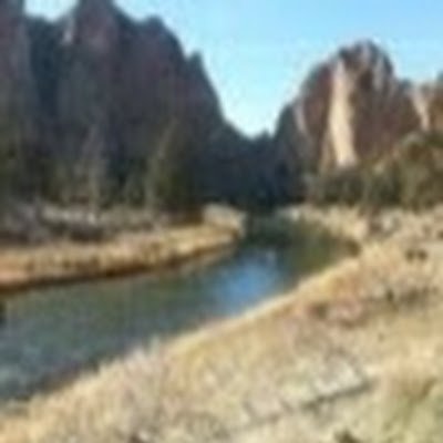 samantha_grace's profile picture. 