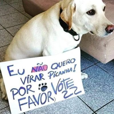 EulisonMonteiro's profile picture. 