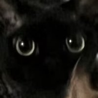 _MIGrush_ (@greenlocke) 's Twitter Profile Photo _MIGrush_ (@greenlocke) 's Twitter Profile Photo