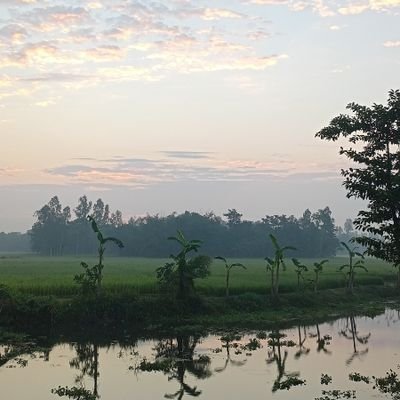 Mahabur50144521's profile picture. 