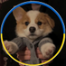 sasha🇺🇦 (@gettingemtional) Twitter profile photo sasha🇺🇦 (@gettingemtional) Twitter profile photo