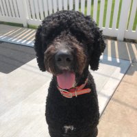 Dan (@dang059) 's Twitter Profile
