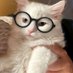 Baby Catturd Wannabe (@i4_conservative) Twitter profile photo Baby Catturd Wannabe (@i4_conservative) Twitter profile photo