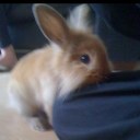 Daniel Fairley - @dannyfairley - Twitter