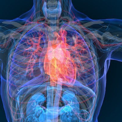 Electrophysiology ECG learning & cases
Desire to learn everyday 😌 ✨️