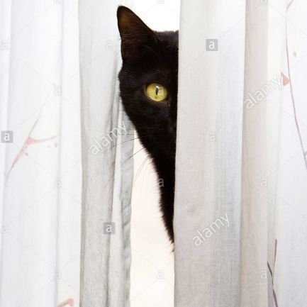 DAVEODO31550157's profile picture. 