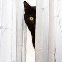 DAVE ODONNELL - @DAVEODO31550157 - Twitter