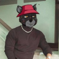 RadCats RockDAO (@radcats_rockdao) 's Twitter Profile