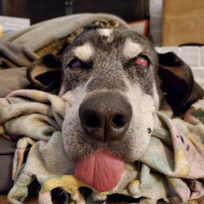 843jd's profile picture. An old soul asshole living in crazy town