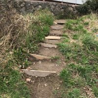 @GwenThomasCymru (@gwentho24990619) 's Twitter Profile