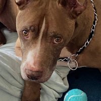 JC (@chachun7) 's Twitter Profile