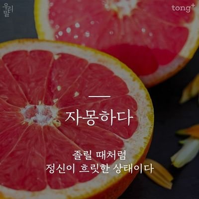 자몽さんのプロフィール画像