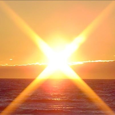 gardengoat's profile picture. 