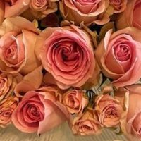 أم عزام (@a_j_247) Twitter profile photo