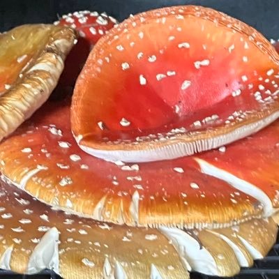 42you's profile picture. 