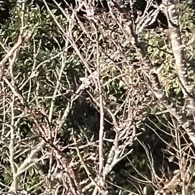 urXtdquXi5eXqkh's profile picture. 