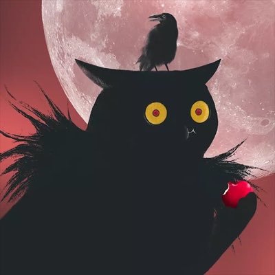 SosoCatcat's profile picture. 没钱养猫🐱