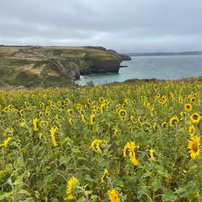 GLarne's profile picture. 