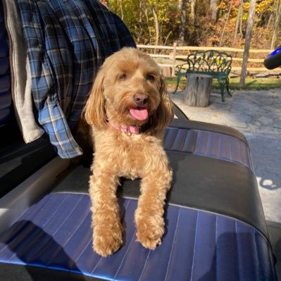 DeniseH24102479's profile picture. 