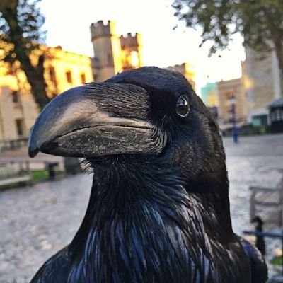 Retired Cybermedia Professor. This account is frozen. Find me here: @lorenzlm@mastodon.social or @lorenzlm.bsky.social