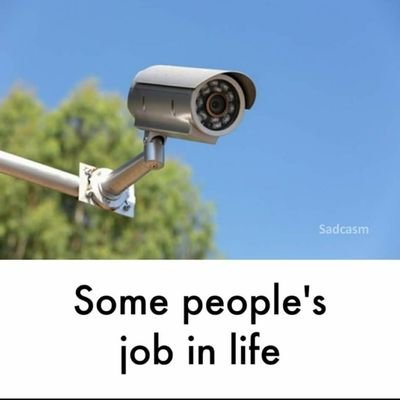 MscanJob's profile picture. 