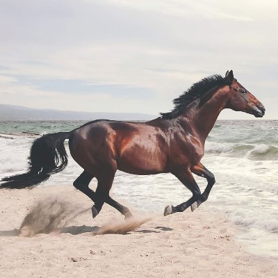 Mustangtjw11's profile picture. Fortis Pro Pace
Individual self-sufficiency is the basis for strength.
Faith nurtures self-sufficiency.
Opinions are my own.
Like/Repost ≠ Consent/Endorsement.