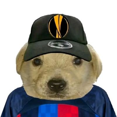 FxSanti_'s profile picture. Blaugrana que se dedica a hacer tweets.