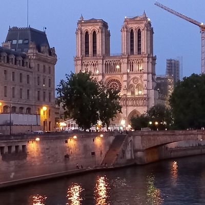 paname585837591's profile picture. vegan