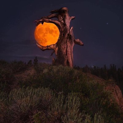 Hilafca3's profile picture. 