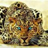 MuhammadAkaba12's profile picture. M. Akabar