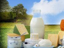 milkfestival1's profile picture. 