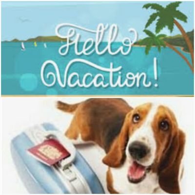 Founder Paw Factor Daycare Boarding Staycation!Personalised Petcare Service.Mayuri Nagar Miyapur Hyderabad. Service with a smile😄