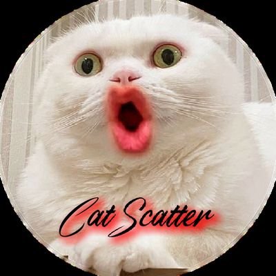 Catscatter18 Profile Picture