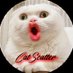 CatScatter😼เเมวนำโชค😼พาล่าเครดิตฟรี🎰 (@catscatter18) Twitter profile photo CatScatter😼เเมวนำโชค😼พาล่าเครดิตฟรี🎰 (@catscatter18) Twitter profile photo