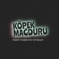 Köpek Mağdurları(@kopekmagduru) 's Twitter Profileg