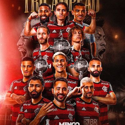 AngeloMacedo17's profile picture. 