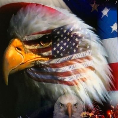 🔥nediB_eoJ_kcuF🔥
🇺🇲4,10,20_Won🇺🇲
I Will Not Sit Down, I Will Not Shut Up, And I Will Not Comply! I AM AN AMERICAN! And I'm Sick Of The Corruption In DC!