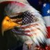 🇺🇲💥Schmidtster_17💥🇺🇲 (@schmidtster_17) Twitter profile photo