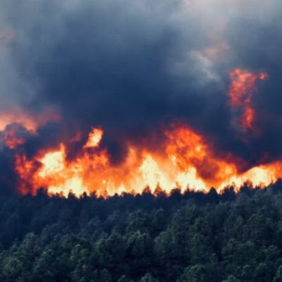 conner_cluley's profile picture. 