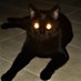PaulaB (@pbaz14) Twitter profile photo