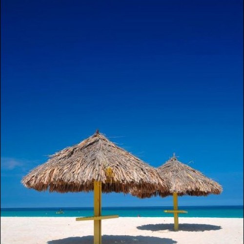 riverhouse50's profile picture. 