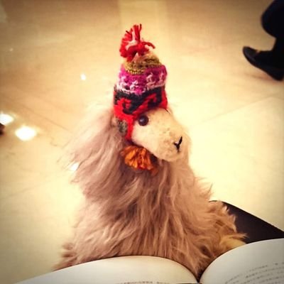 legatintensita's profile picture. Music, arts, writing, love